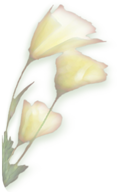 Triple flower image